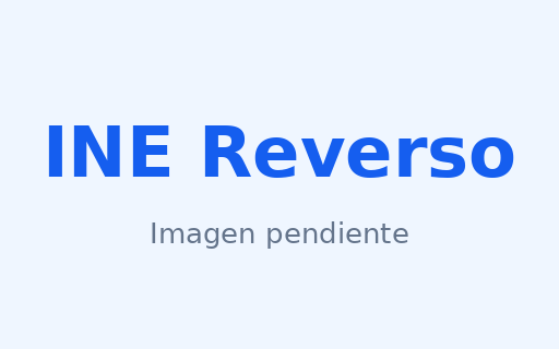 Ejemplo INE Reverso